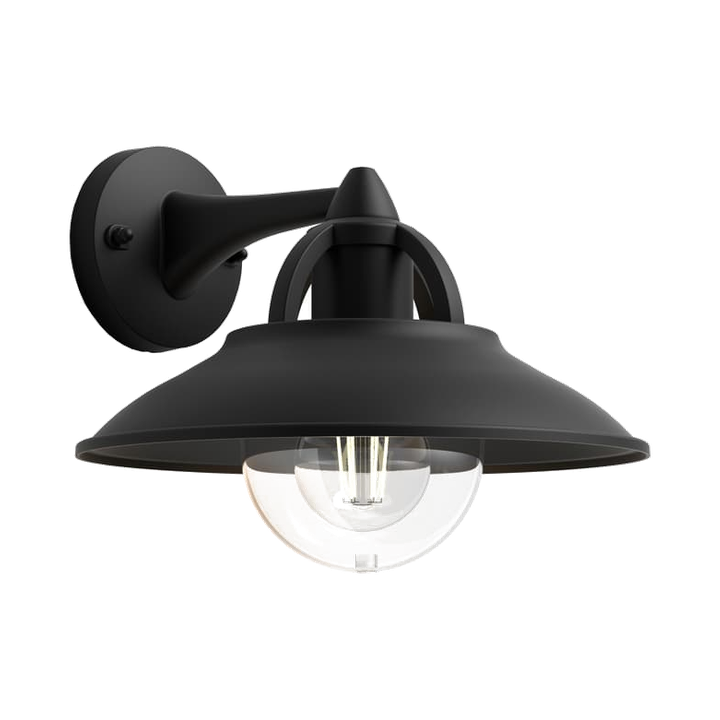 Philips Cormorant seinälyhty 42 W E27